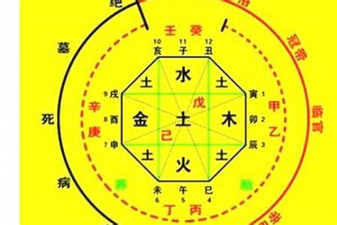 忌土|八字算命：八字忌土是什么意思